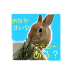 うちのほっぺさん（個別スタンプ：6）