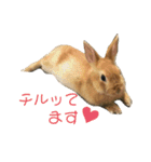 うちのほっぺさん（個別スタンプ：7）