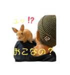 うちのほっぺさん（個別スタンプ：9）