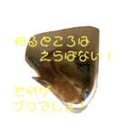 うちのほっぺさん（個別スタンプ：11）