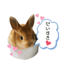 うちのほっぺさん（個別スタンプ：16）