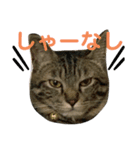 りんたろすスタンプ☆（個別スタンプ：2）