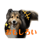 Winスタンプ②（個別スタンプ：16）