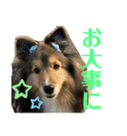 Winスタンプ②（個別スタンプ：21）