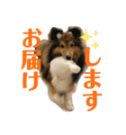 Winスタンプ②（個別スタンプ：24）