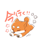柴犬ハナのスタンプ（個別スタンプ：21）