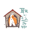 柴犬ハナのスタンプ（個別スタンプ：24）