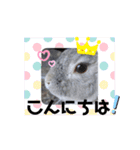うさスタ✩（個別スタンプ：2）