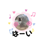 うさスタ✩（個別スタンプ：9）