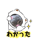 うさスタ✩（個別スタンプ：16）