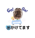 うさスタ✩（個別スタンプ：32）
