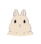 虚無顔の小動物（個別スタンプ：2）