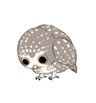 虚無顔の小動物（個別スタンプ：8）