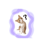 俺、きなり（個別スタンプ：2）