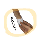 俺、きなり（個別スタンプ：7）