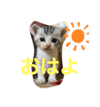 うぇーんと鳴くなみちゃんです。（個別スタンプ：7）
