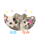 うぇーんと鳴くなみちゃんです。（個別スタンプ：8）