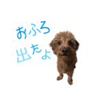 ライトスタンプ②（個別スタンプ：3）