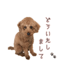 ライトスタンプ②（個別スタンプ：4）