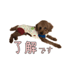 ライトスタンプ②（個別スタンプ：6）