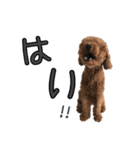 ライトスタンプ②（個別スタンプ：7）