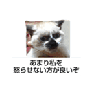 はなまろ（個別スタンプ：3）