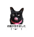はなまろ（個別スタンプ：4）