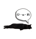 はなまろ（個別スタンプ：7）