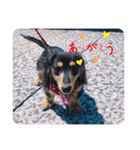 はじめましてボブと申します（個別スタンプ：2）