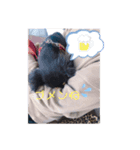 はじめましてボブと申します（個別スタンプ：5）