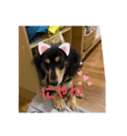 はじめましてボブと申します（個別スタンプ：8）