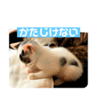 ハオくん。（個別スタンプ：2）