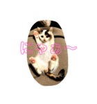 ハオくん。（個別スタンプ：6）
