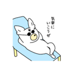 愛犬ぽんさん（個別スタンプ：22）