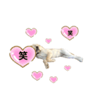 ラブラドール♡ララ♡③（個別スタンプ：18）