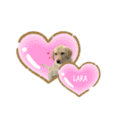 ラブラドール♡ララ♡③（個別スタンプ：20）