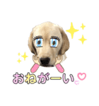 ラブラドール♡ララ♡③（個別スタンプ：28）