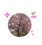 ラブラドール♡ララ♡③（個別スタンプ：37）