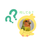 kawafamily25（個別スタンプ：1）