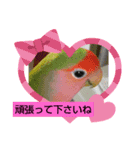 kawafamily25（個別スタンプ：3）
