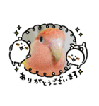 kawafamily25（個別スタンプ：4）