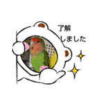 kawafamily25（個別スタンプ：6）