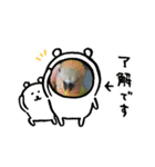 kawafamily25（個別スタンプ：10）