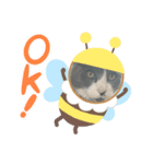 にゃんたあんこ（個別スタンプ：4）