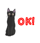 ほっこりリアル黒猫（個別スタンプ：5）