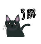 ほっこりリアル黒猫（個別スタンプ：7）