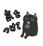 ほっこりリアル黒猫（個別スタンプ：9）