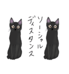 ほっこりリアル黒猫（個別スタンプ：10）