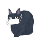 ほっこりリアル黒猫（個別スタンプ：12）