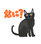 ほっこりリアル黒猫（個別スタンプ：21）